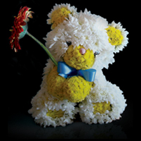 Игрушка «Мишка» из живых цветов Игрушка «Мишка» из живых цветов