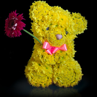 Игрушка «Мишка» из живых цветов Игрушка «Мишка» из живых цветов