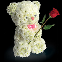 Игрушка «Мишка» из живых цветов Игрушка «Мишка» из живых цветов