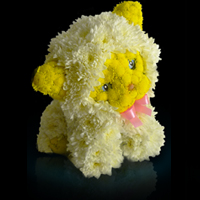 Игрушка «Котенок» из живых цветов Игрушка «Котенок» из живых цветов