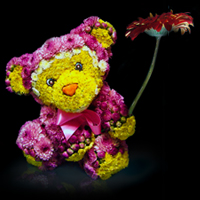 Игрушка «Мишка» из живых цветов Игрушка «Мишка» из живых цветов